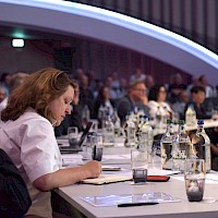 Vignette de l`image de la galerie6