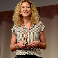 Vignette de l`image de la galerie12