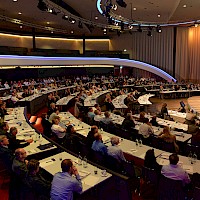 Vignette de l`image de la galerie29