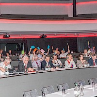 Vignette de l`image de la galerie29