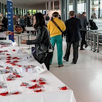 Vignette de l`image de la galerie31