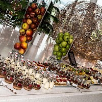 Vignette de l`image de la galerie48