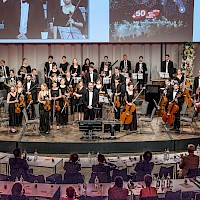 Vignette de l`image de la galerie82