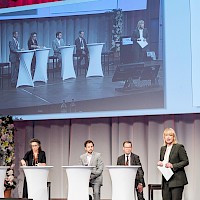 Vignette de l`image de la galerie94