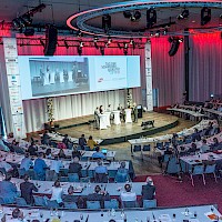 Vignette de l`image de la galerie95