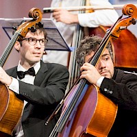 Vignette de l`image de la galerie12