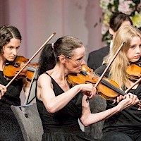 Vignette de l`image de la galerie15