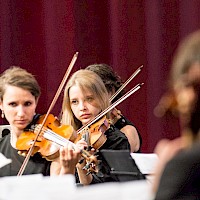 Vignette de l`image de la galerie17